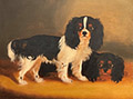 King Charles Spaniels