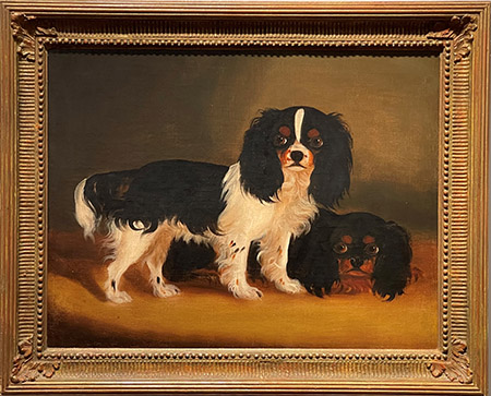 King Charles Spaniels