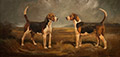 Foxhounds in a Landscape