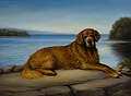 Golden Retriever in a Landscape