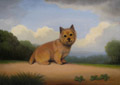 Norwich Terrier