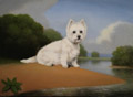 Westie by a Lake