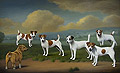 Parson Russell Terriers and One Jack Daniels