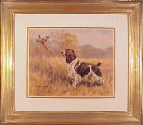 English Springer Spaniel In The Field